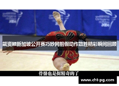 戴资颖新加坡公开赛巧妙网前假动作致胜精彩瞬间回顾