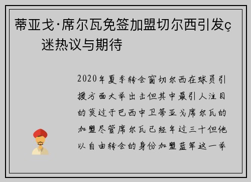 蒂亚戈·席尔瓦免签加盟切尔西引发球迷热议与期待